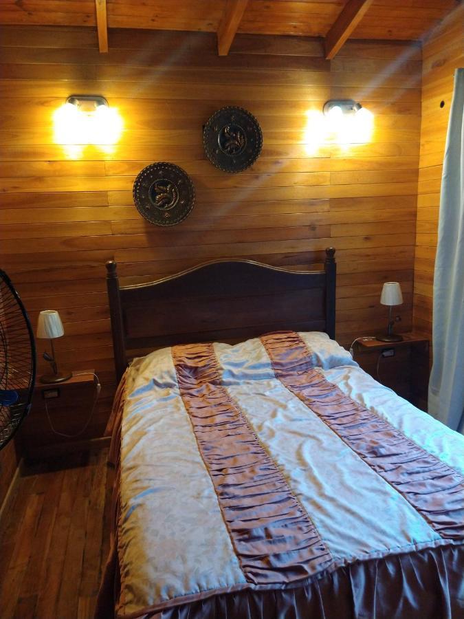 Carelhue Guazu Holiday home